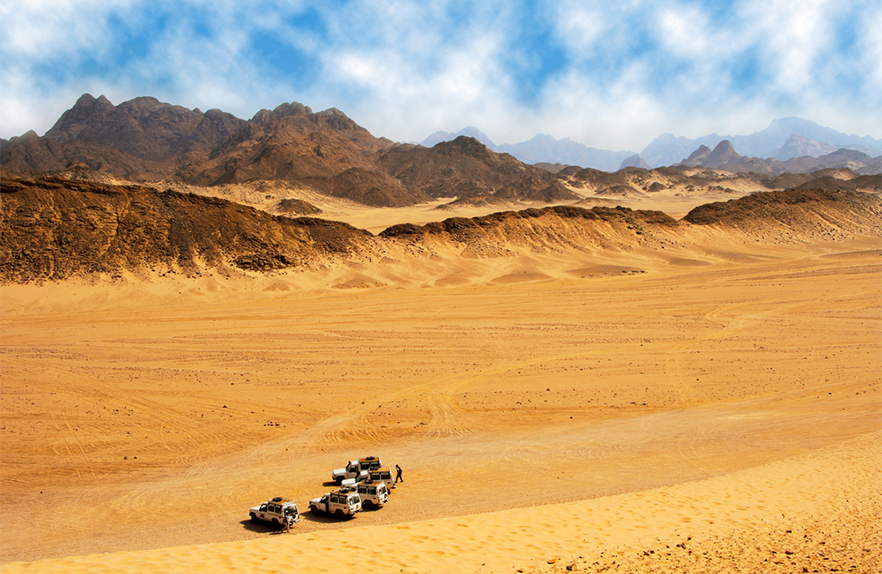 Desert Safari Tours In the UAE